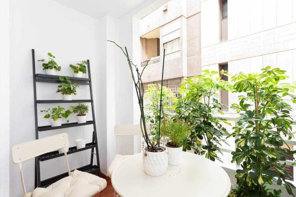 Apartmán Sabino Dreams Santa Cruz Exteriér fotografie